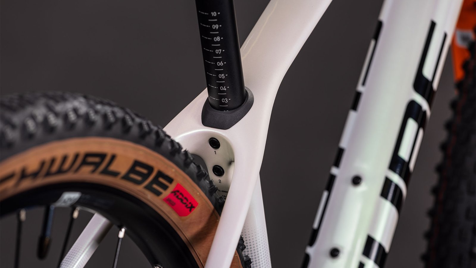 Cube Phenix C:62 Rookie SLX teamline – Bild 3