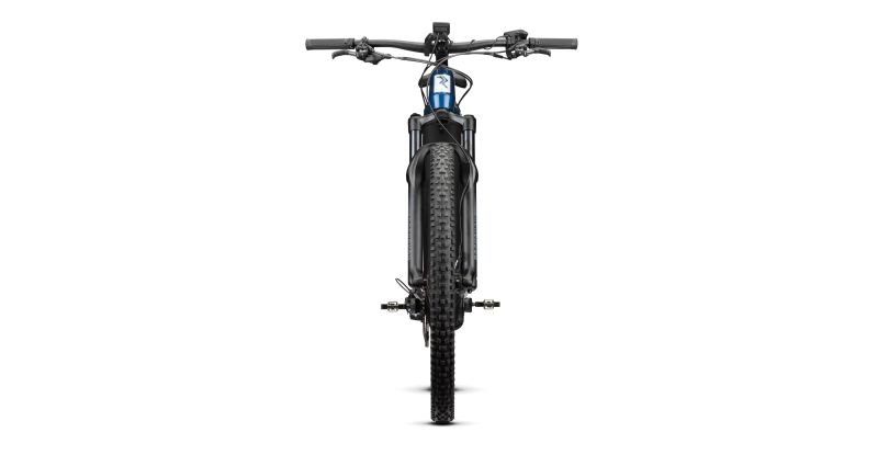 Radon Jealous Hybrid 9.0 750 – Bild 3
