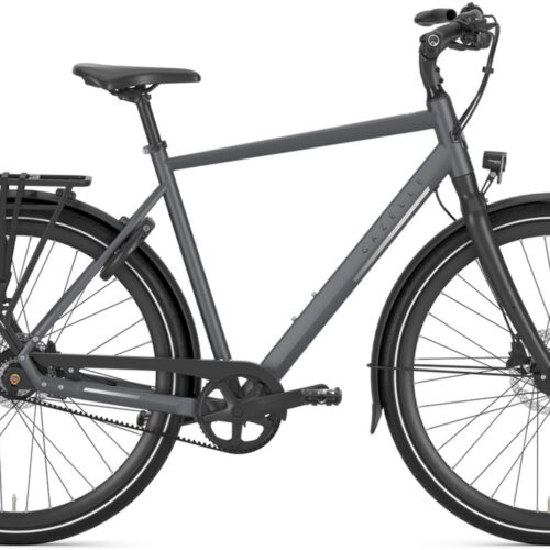 Gazelle Chamonix S11